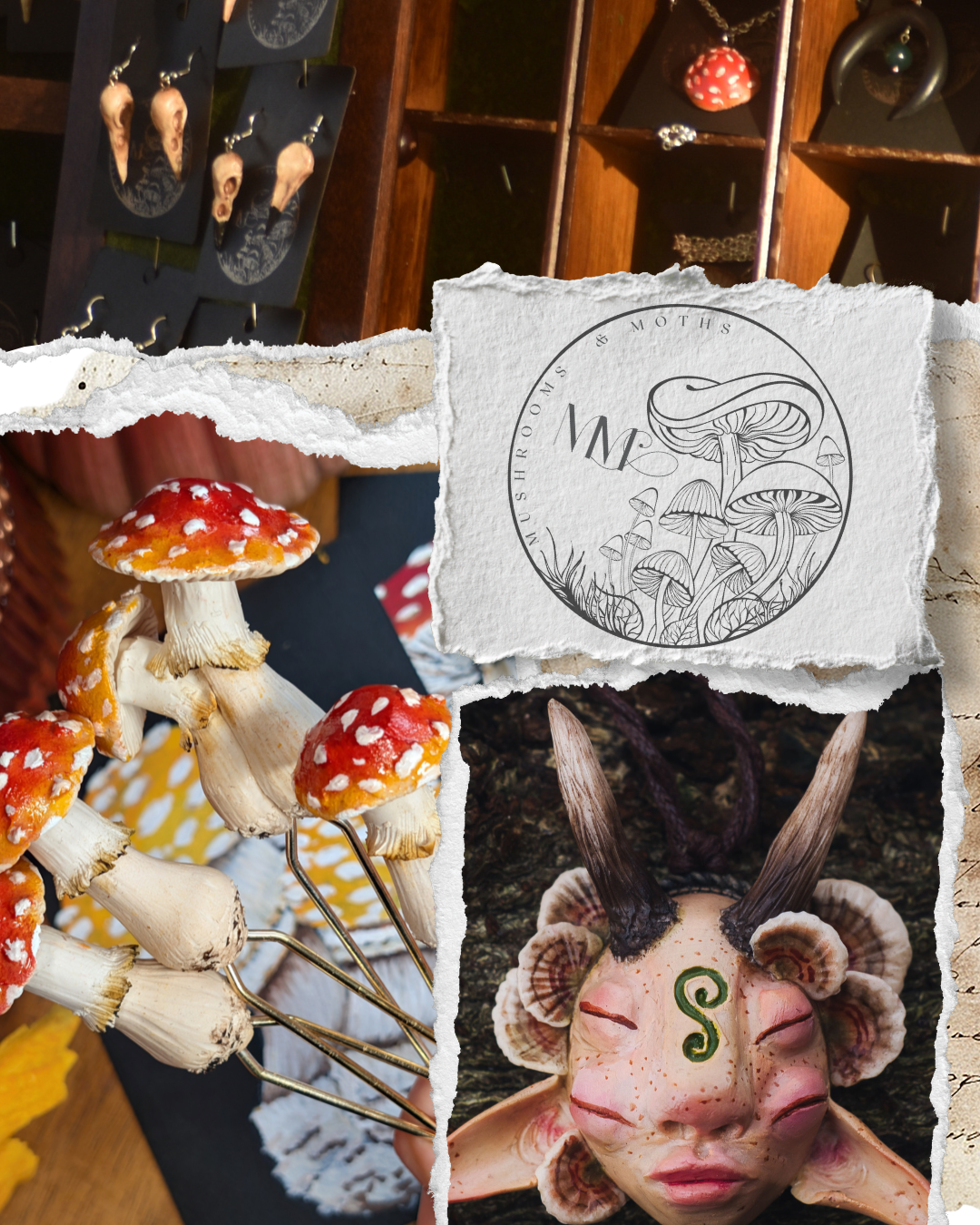 Mushrooms and Moths